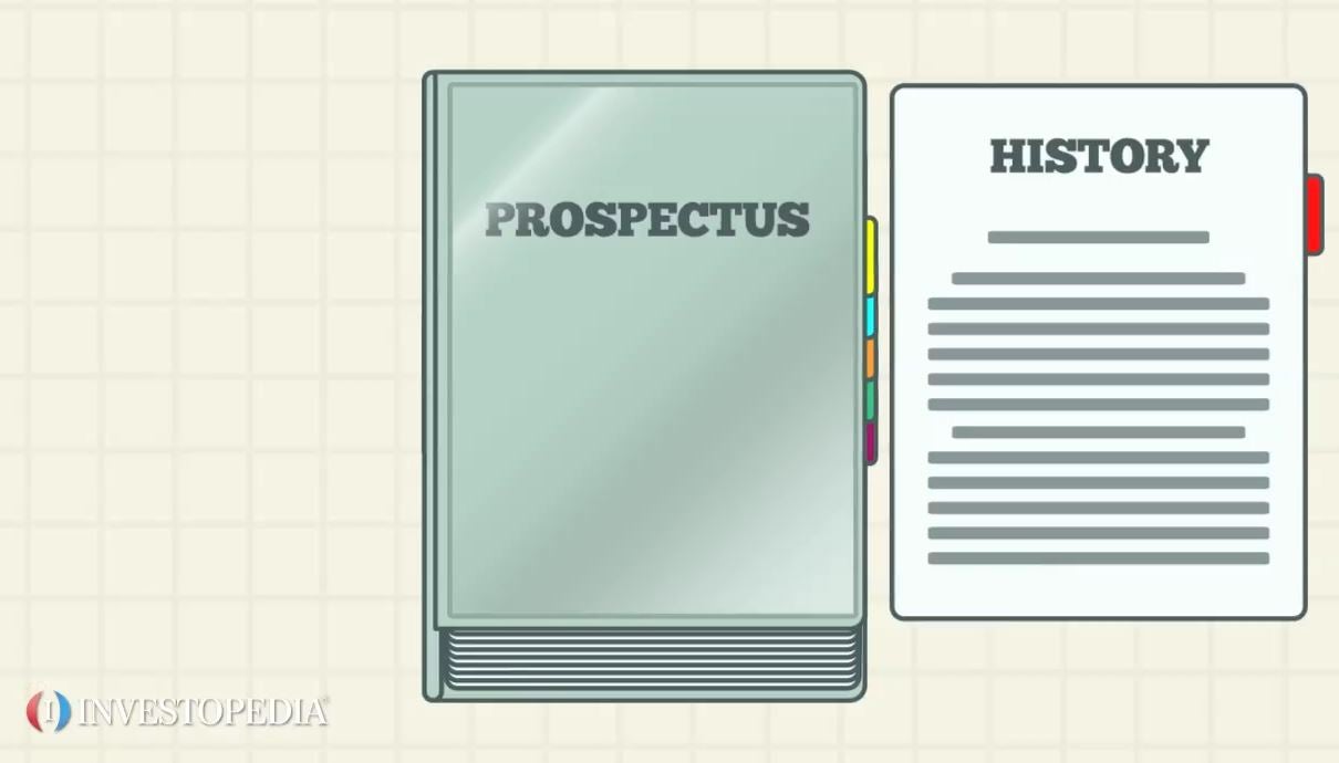 Write a business prospectus