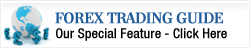 Forex trading basics investopedia